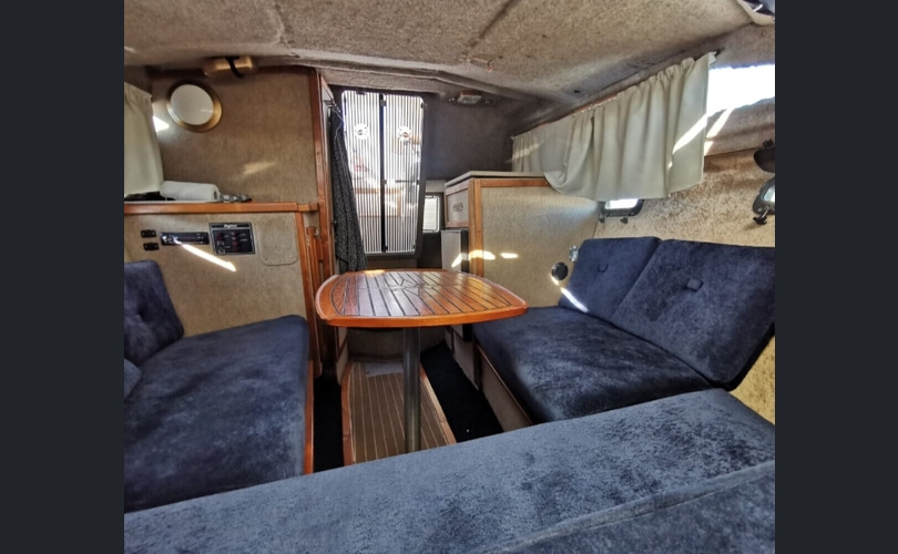 Bayliner 2550-kuva-5